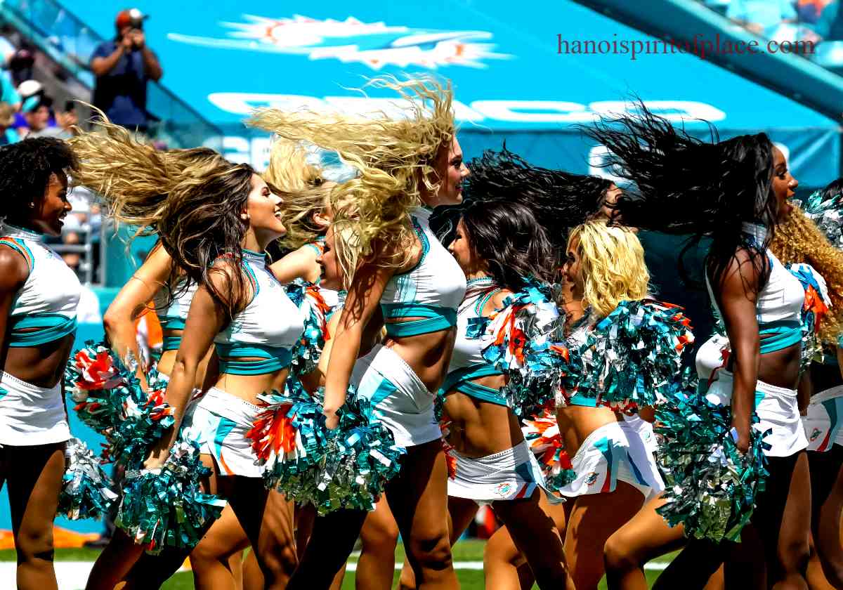 Overview of the Dolphin Cheerleaders