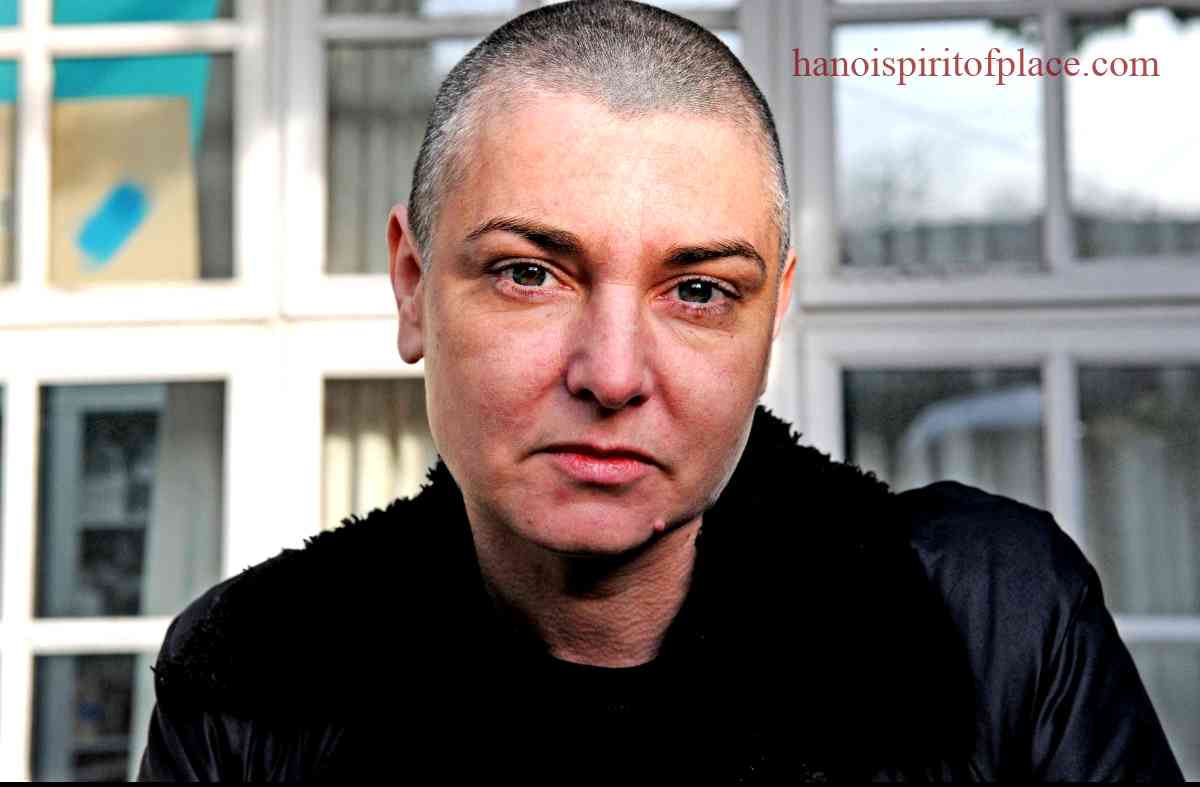 Brief background information on Sinéad O'Connor