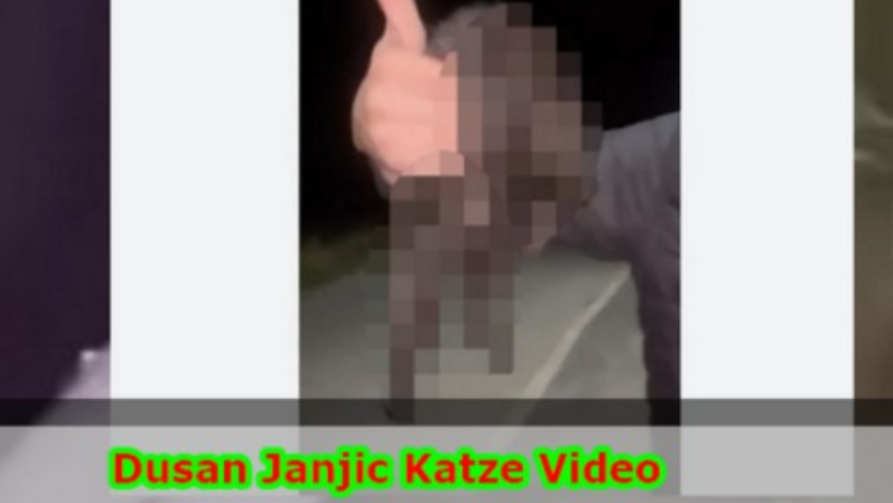 Video Dusan Janjic Katze Zürich
